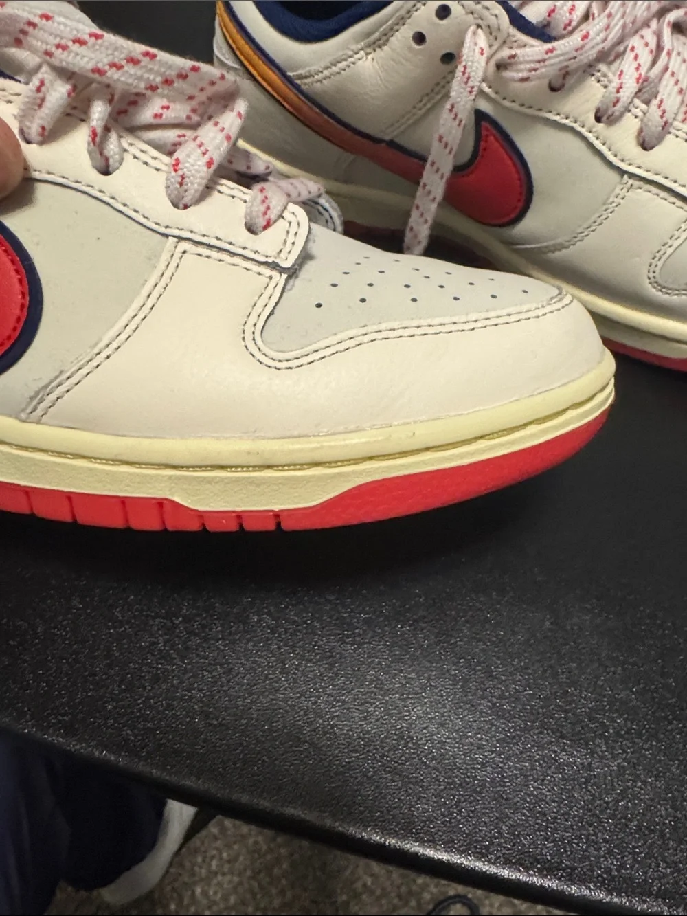 Nike Dunk Low “Retro Pack” in Men’s Size 8.5.